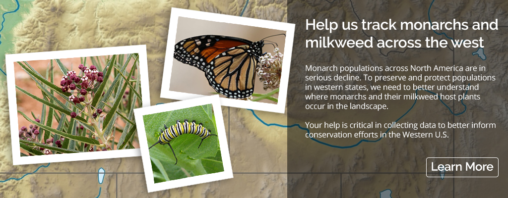Western Monarch Milkweed Mapper  This project is part of a collaborative  effort to map and better understand monarch butterflies and their host  plants across the Western U.S. Data compiled through this